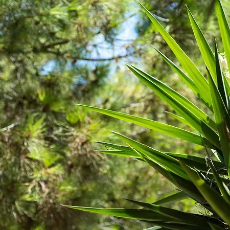 Apartament La Casa Di Efi *