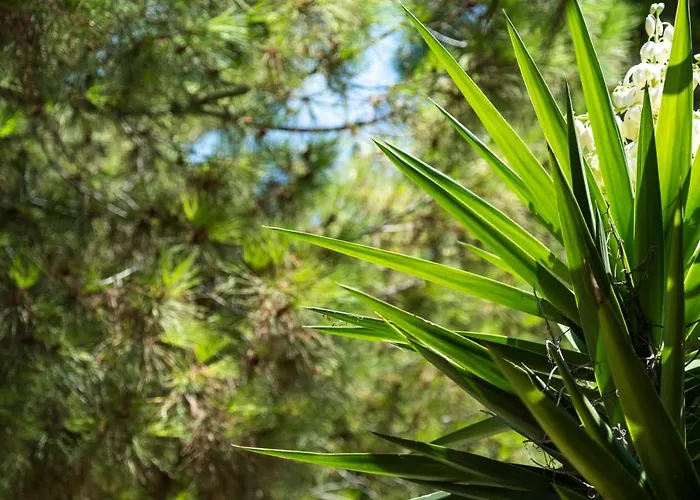 Appartement La Casa Di Efi *