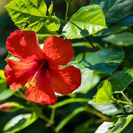 شقة La Casa Di Efi *