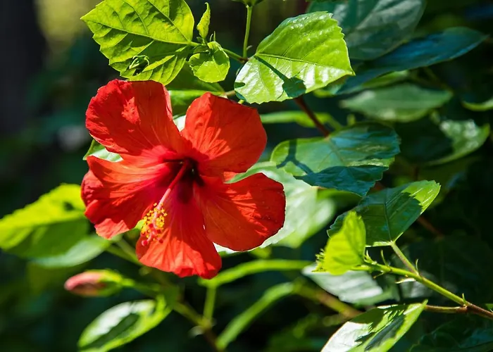 شقة La Casa Di Efi *